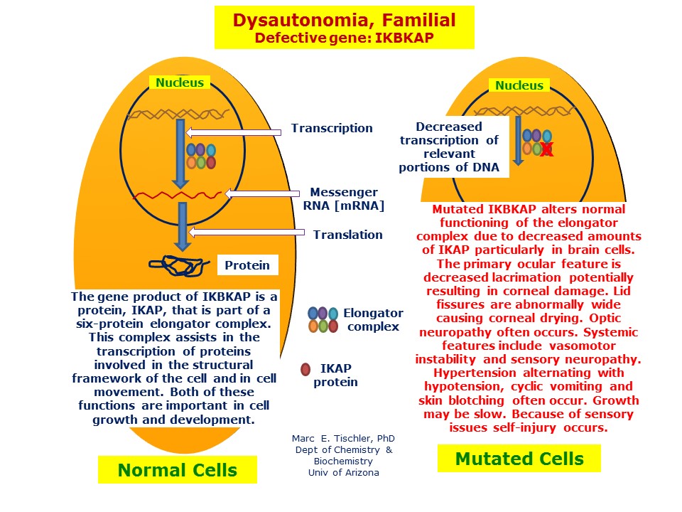 Dysautonomia fail! — Handmade Darcy